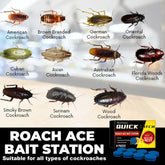 Roach Ace Bait Station (Buy 1)