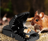 3Pcs- Mouse Killer Trap