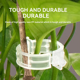 (100Pcs) Plant Clips for Climbing